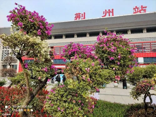 邯鄲到荊州物流專線-貨運直達-直送各區(qū)域-專業(yè)物流管理服務(wù)