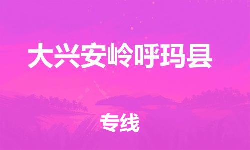 邯鄲到大興安嶺呼瑪縣物流專線-物流專線市縣閃送-實(shí)時(shí)跟近